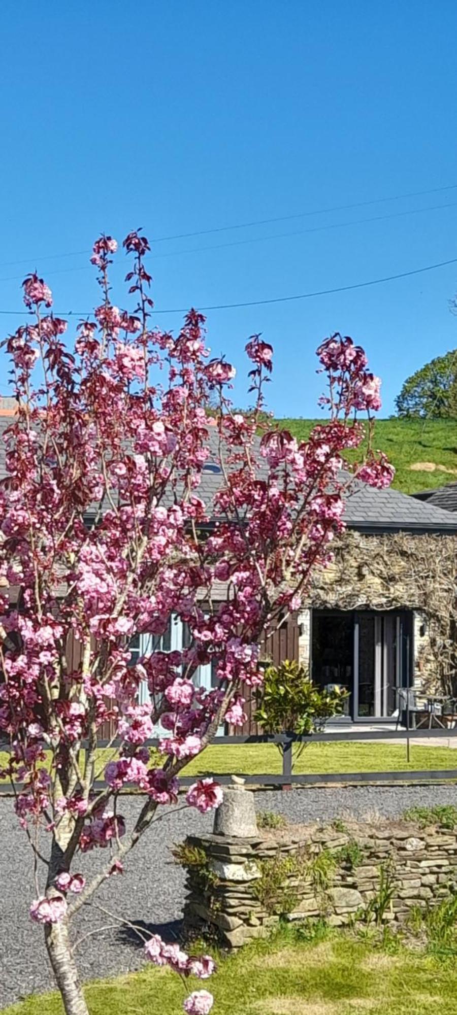 Holiday home Wisteria Barn, Trewethen, St Teath, Nr Port Isaac